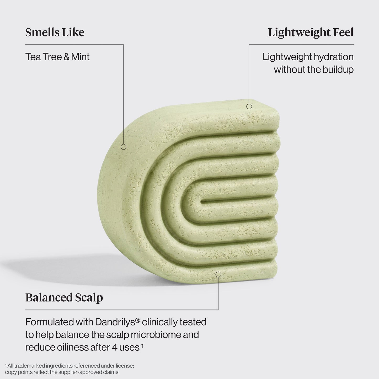 Tea Tree & Mint Clarifying Shampoo & Conditioner Bar Combo