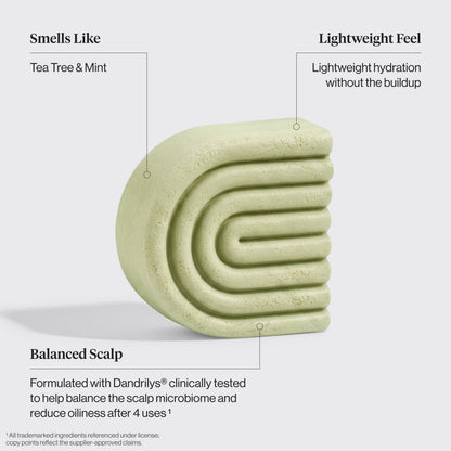 Tea Tree & Mint Clarifying Shampoo & Conditioner Bar Combo